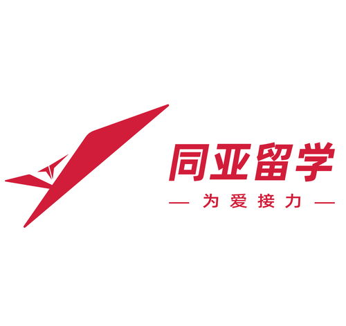 專業賦能，服務首都 北京同亞留學與信息咨詢的現代實踐